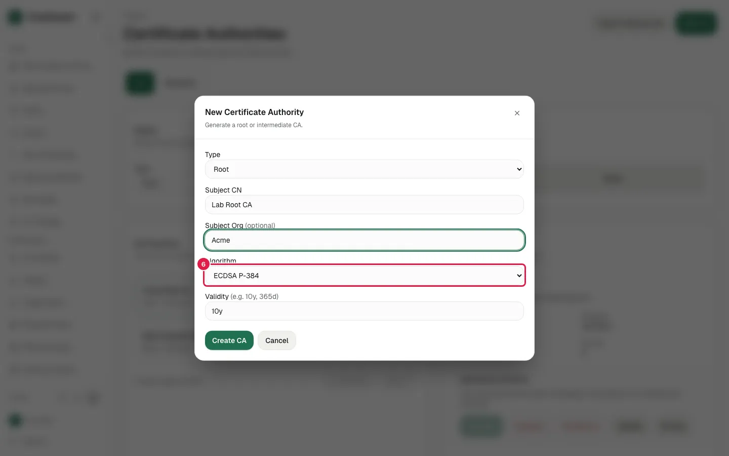 Select "ECDSA P-384" in Algorithm