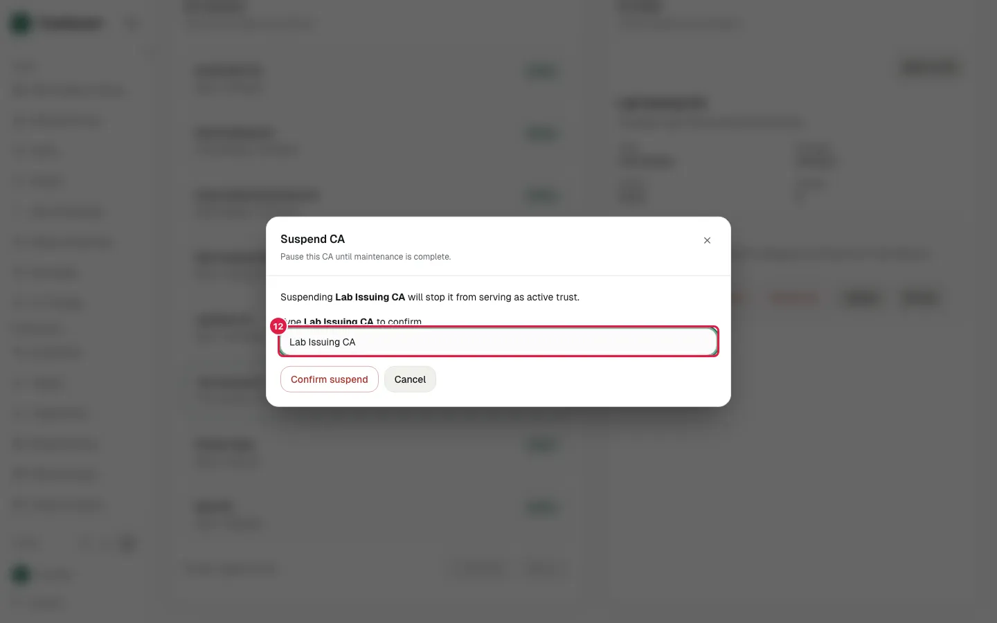 Fill CA name with "Lab Issuing CA"